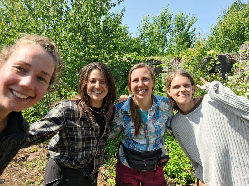 Internship & Volunteering