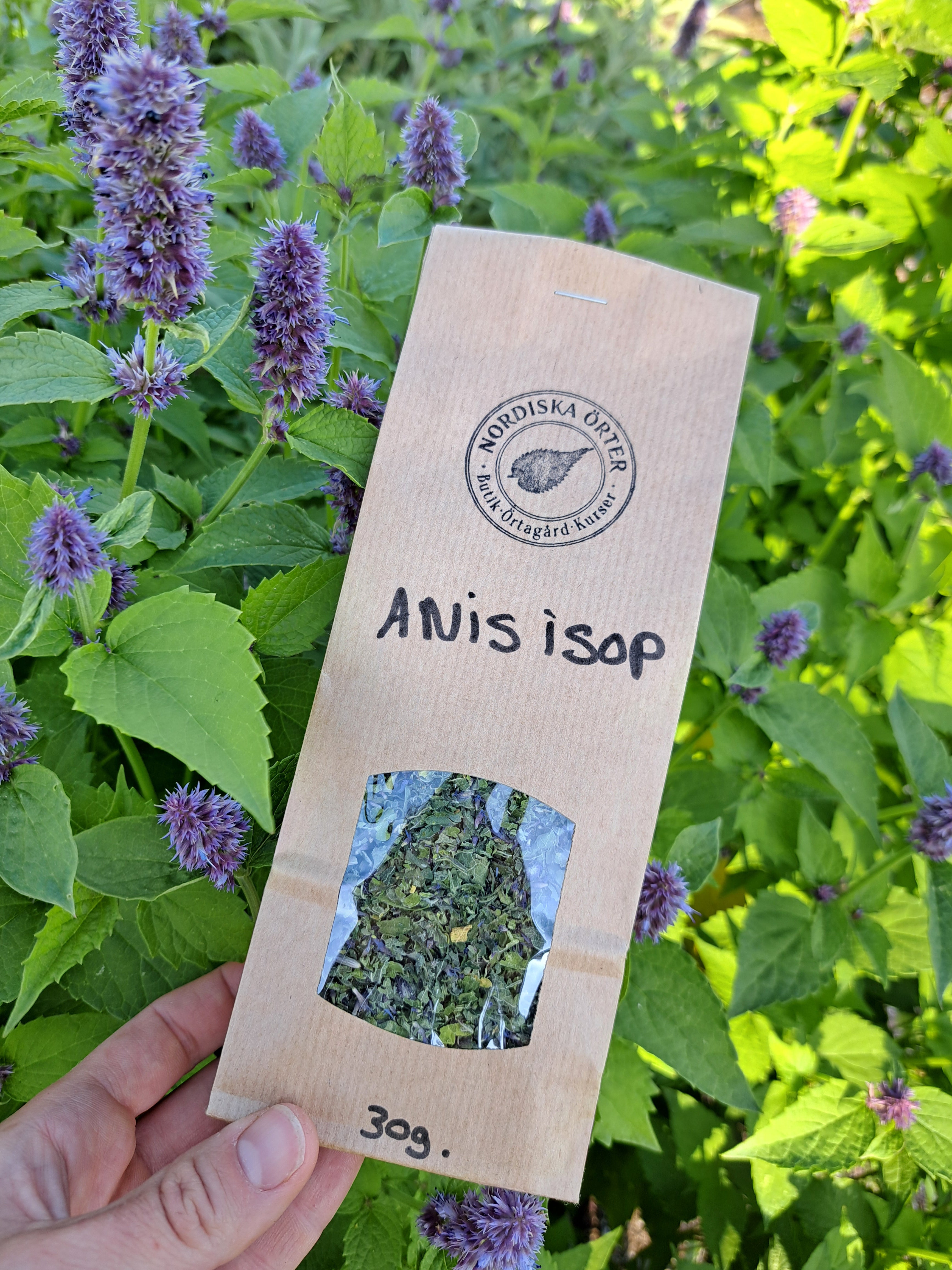 ANISISOP