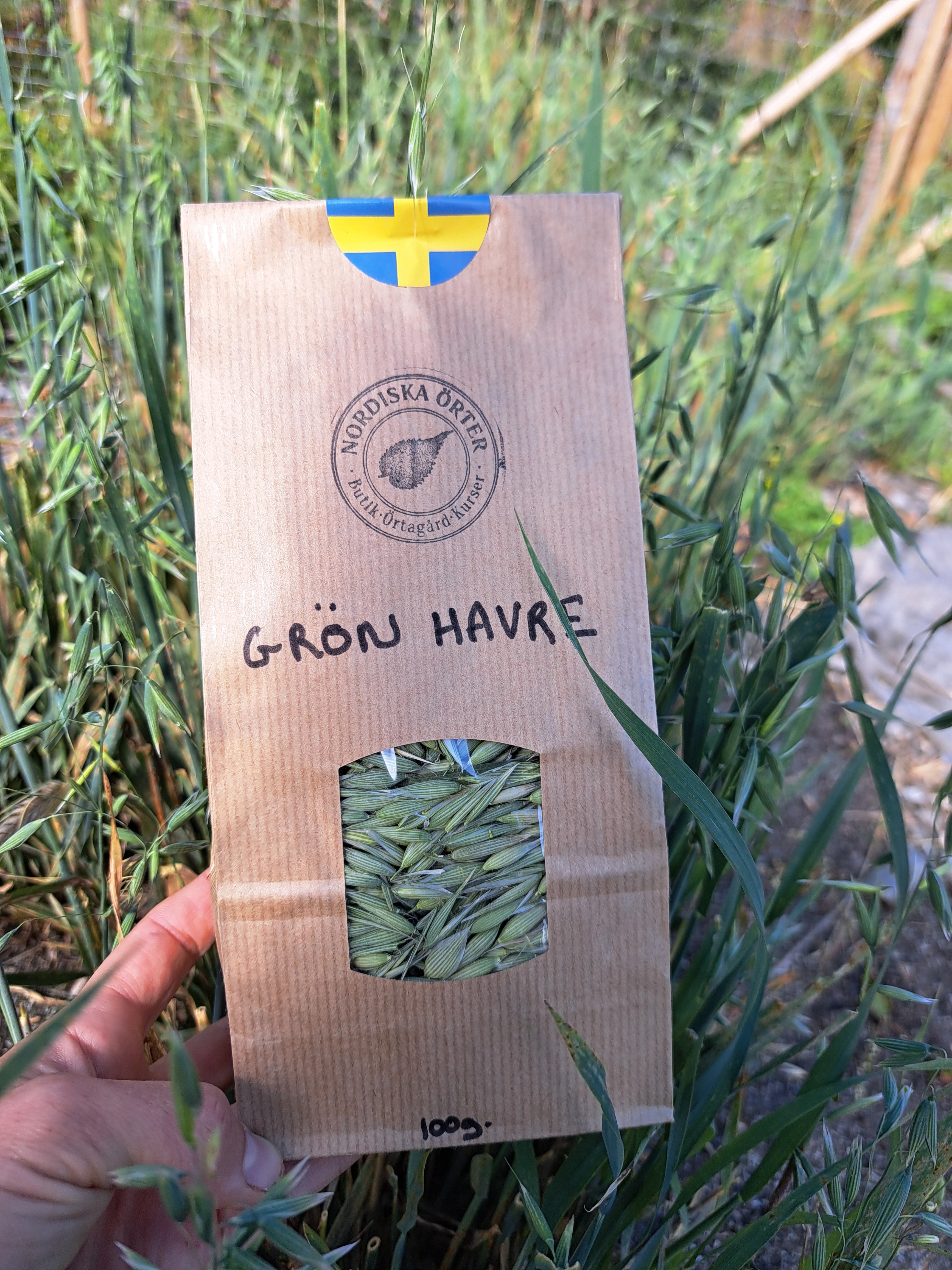 GRÖN HAVRE