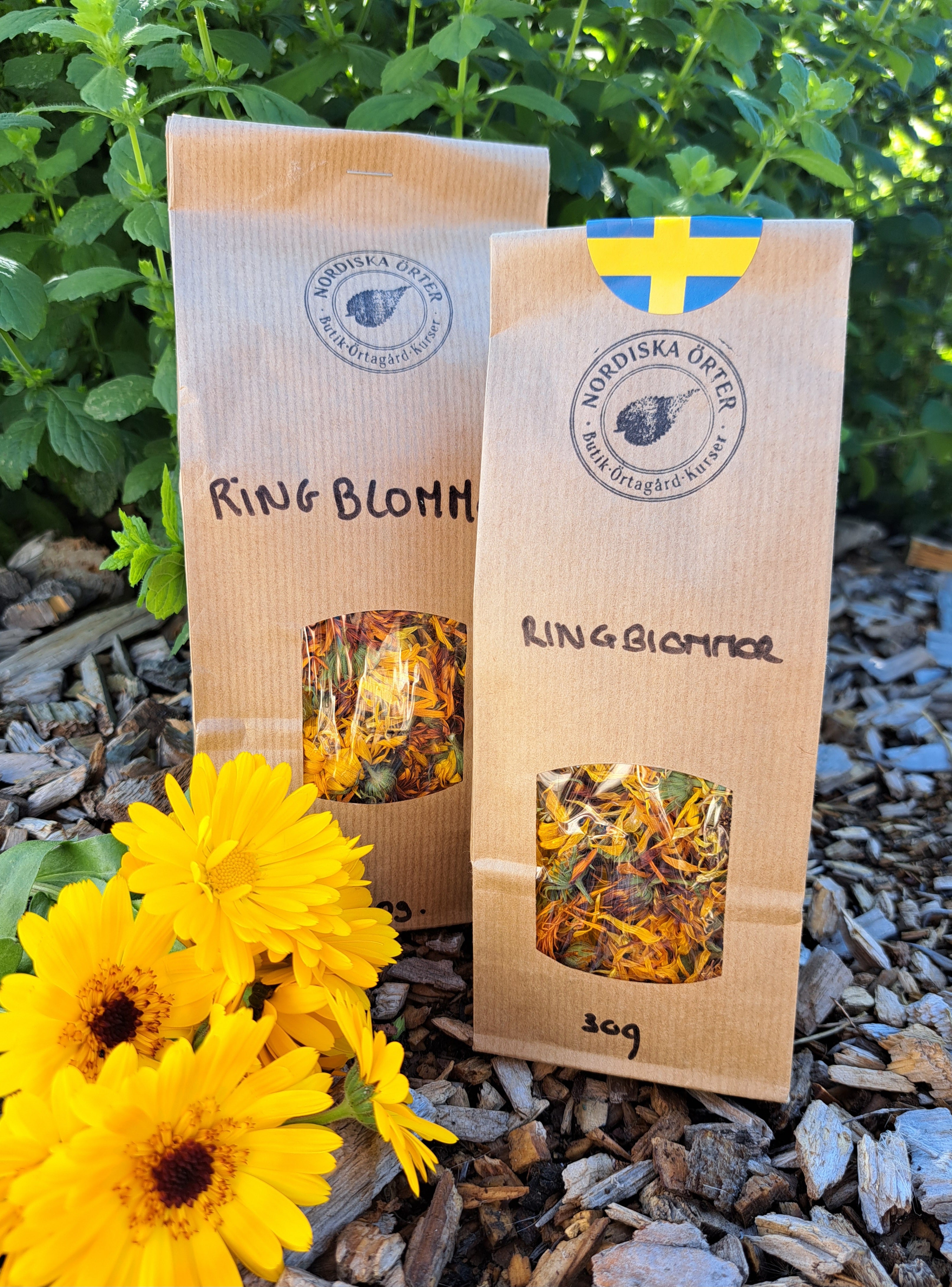 RINGBLOMMOR