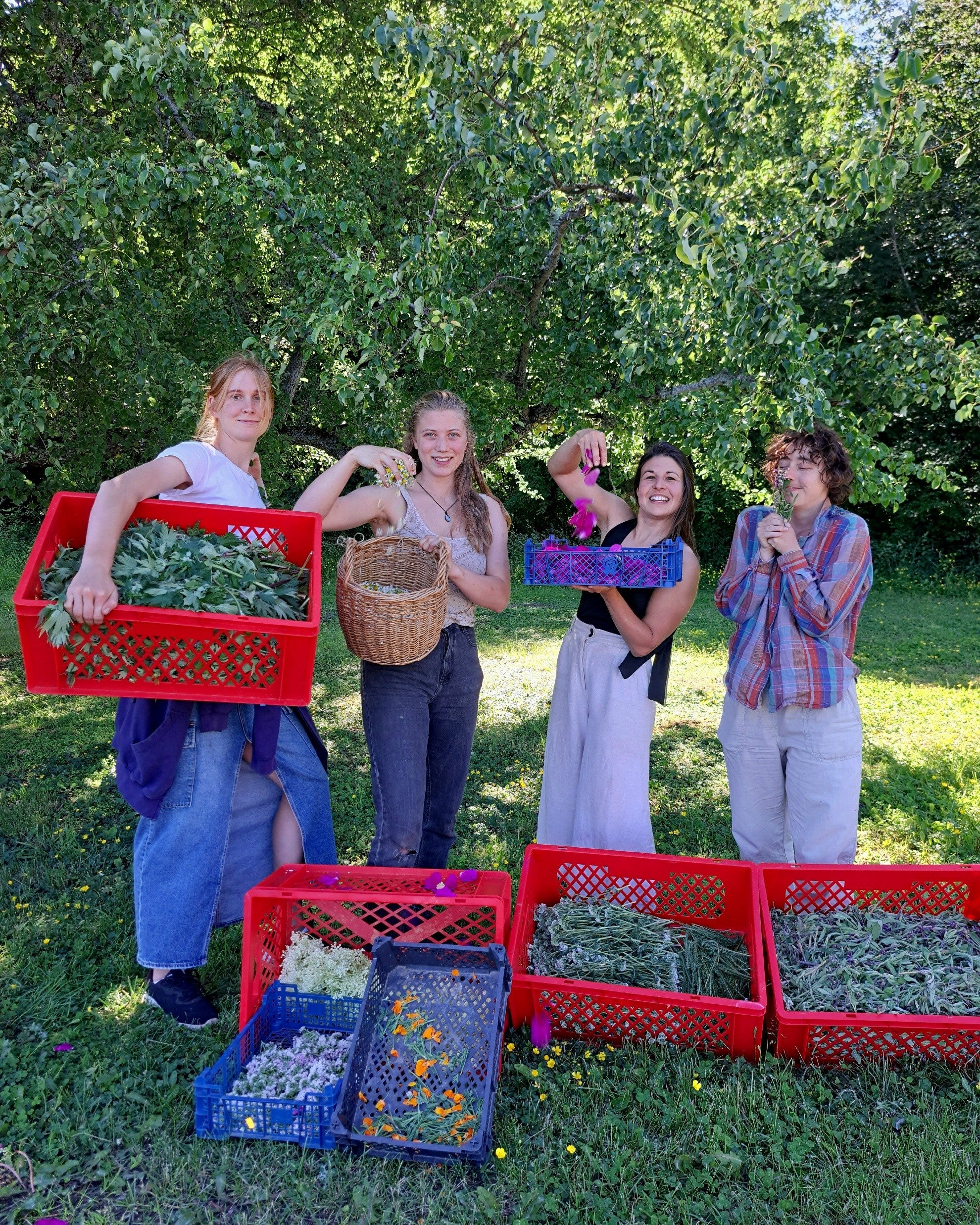 ÖRTFEST - 29 August 2026