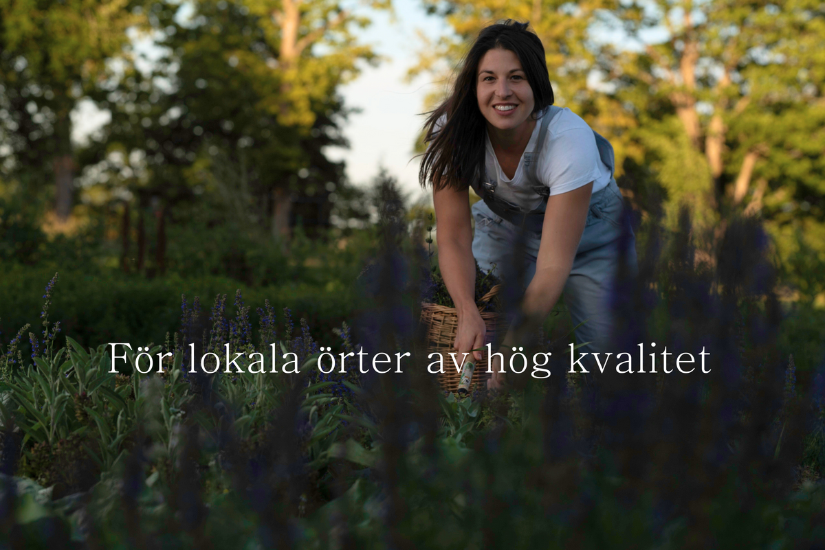 NORDISKA ÖRTER PRESENTKORT