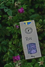 ROSOR